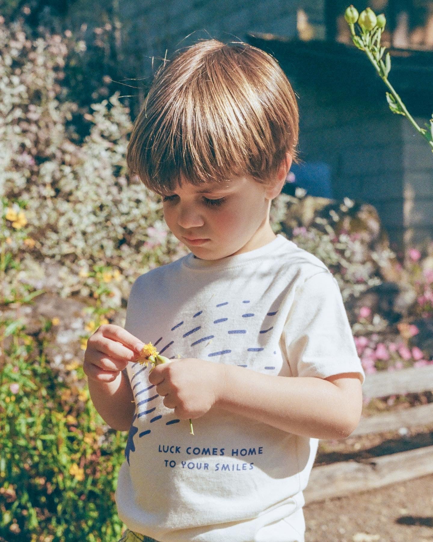 SHOOTING STAR | ORGANIC COTTON T-SHIRT